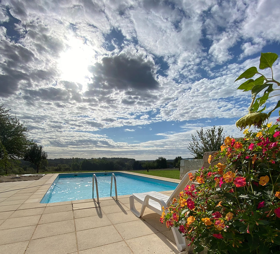 What Our Reviews Say About Us: Real Guest Experiences at Petit Rousset Gites