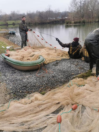 Fish stock survey in kent with boat and net