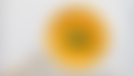 Sopa de abóbora assada