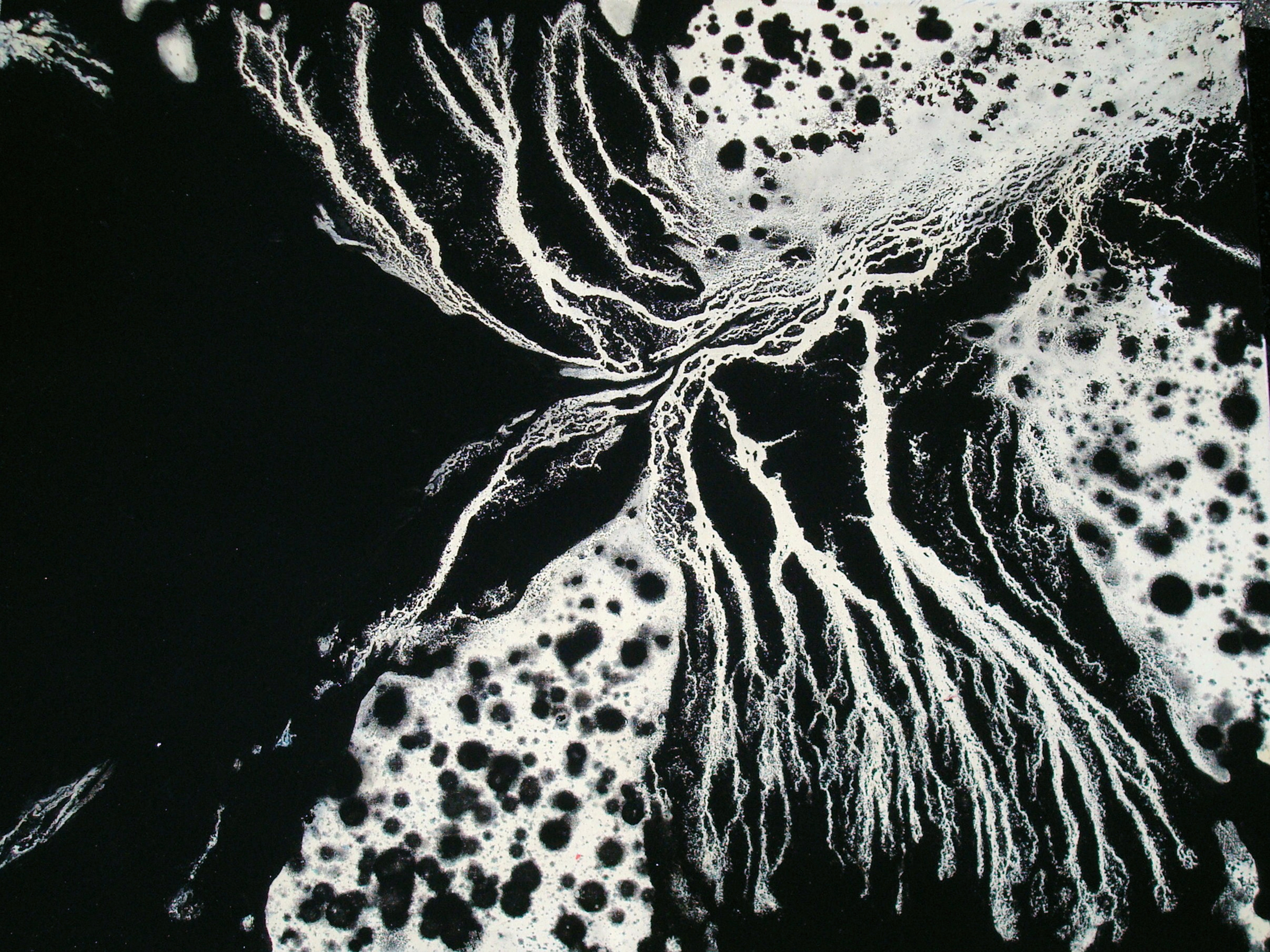 Confluence - Canvas Print