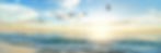 Seagulls soar over waves on a serene beach at sunrise. Blue skies with scattered clouds enhance the tranquil atmosphere.