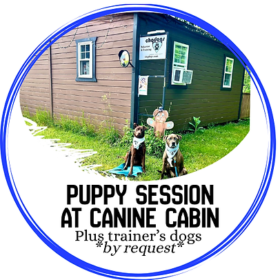 PSPuppy Session.png