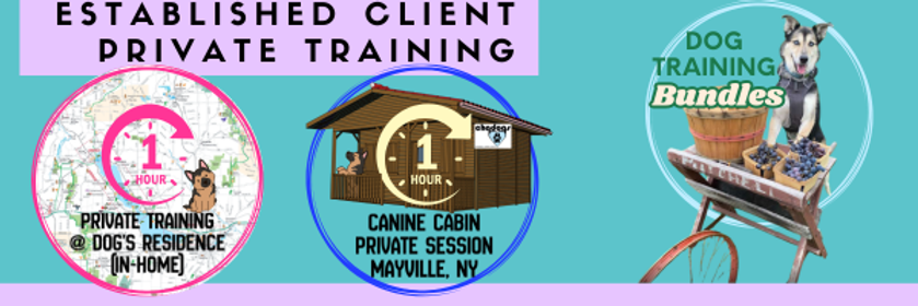Est Client Training Bnner.png