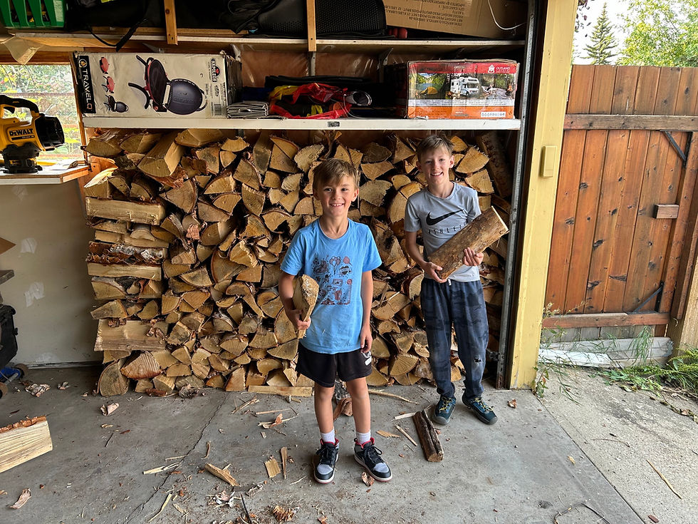 Thumbnail: Two boys with firewood in front of Little Lumberjacks Firewood fire stick.