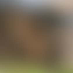 How to Stack Firewood Like a Pro