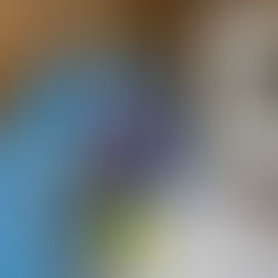 Holiday Firewood Guide