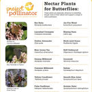 Nectar Plants_edited.jpg