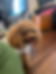 最新の写真を表示.jpeg