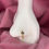 Thumbnail: Diamond - Nose Ring