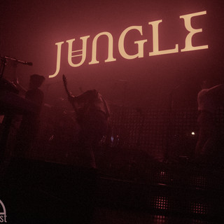 Jungle