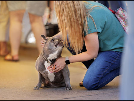 Portrait of a Dog Lover