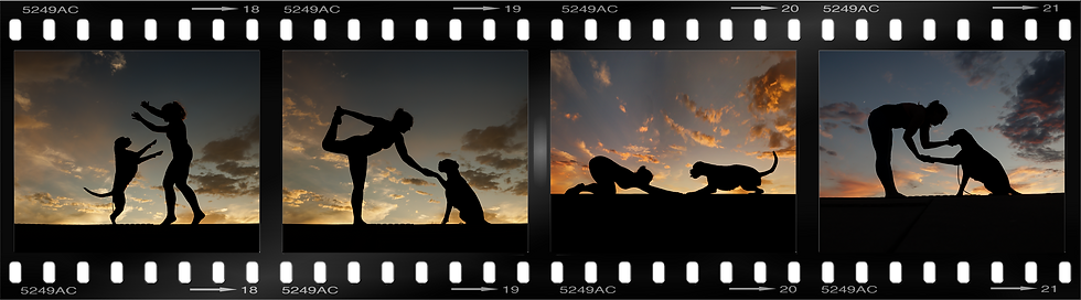 Silhouette of a woman doing yoga with her boxer dog at sunset, in Parker, Colorado
