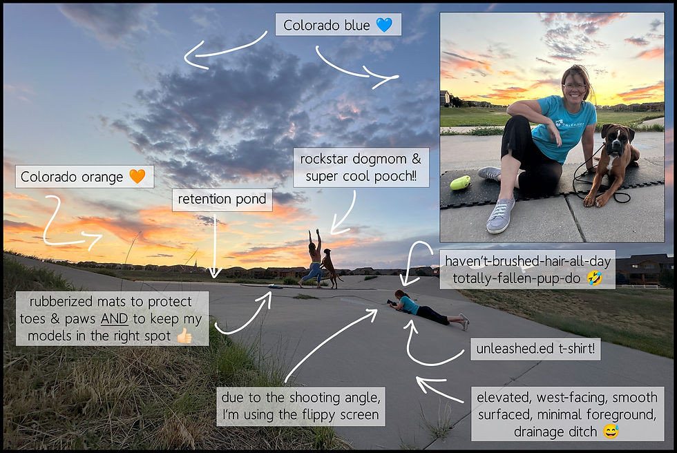 Behind the Scenes (BTS) of a dog and yoga photography session Parker, Colorado