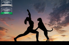 Silhouetted woman doing yoga with her boxer dog at sunset