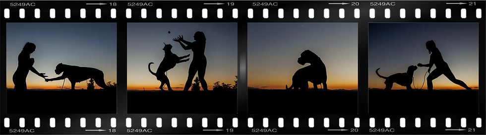 Silhouetted woman doing yoga with her dog at sunset, in Parker, Colorado