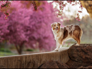 Leading Into Spring