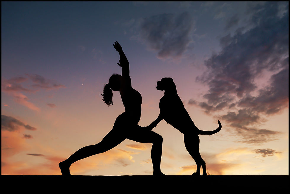 Silhouette of a woman doing yoga with her boxer dog at sunset, in Parker, Colorado