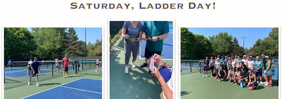 sat ladder days.JPG