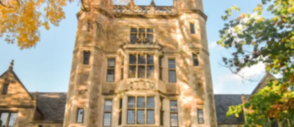 Copy of michiganLaw.webp