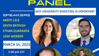 CSG Divestment Panel