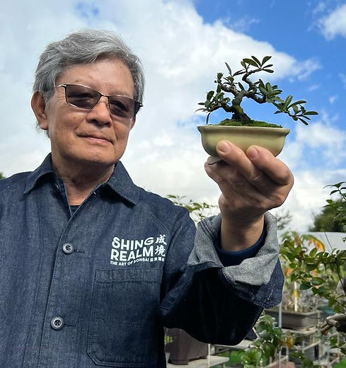 黃就成盆景大師,成境盆景藝術,Wong Chau Shing, Shing Realm Bonsai Art