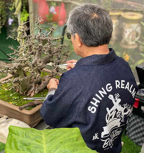 黃就成盆景大師,成境盆景藝術,Wong Chau Shing, Shing Realm Bonsai Art