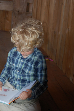 The Barn School