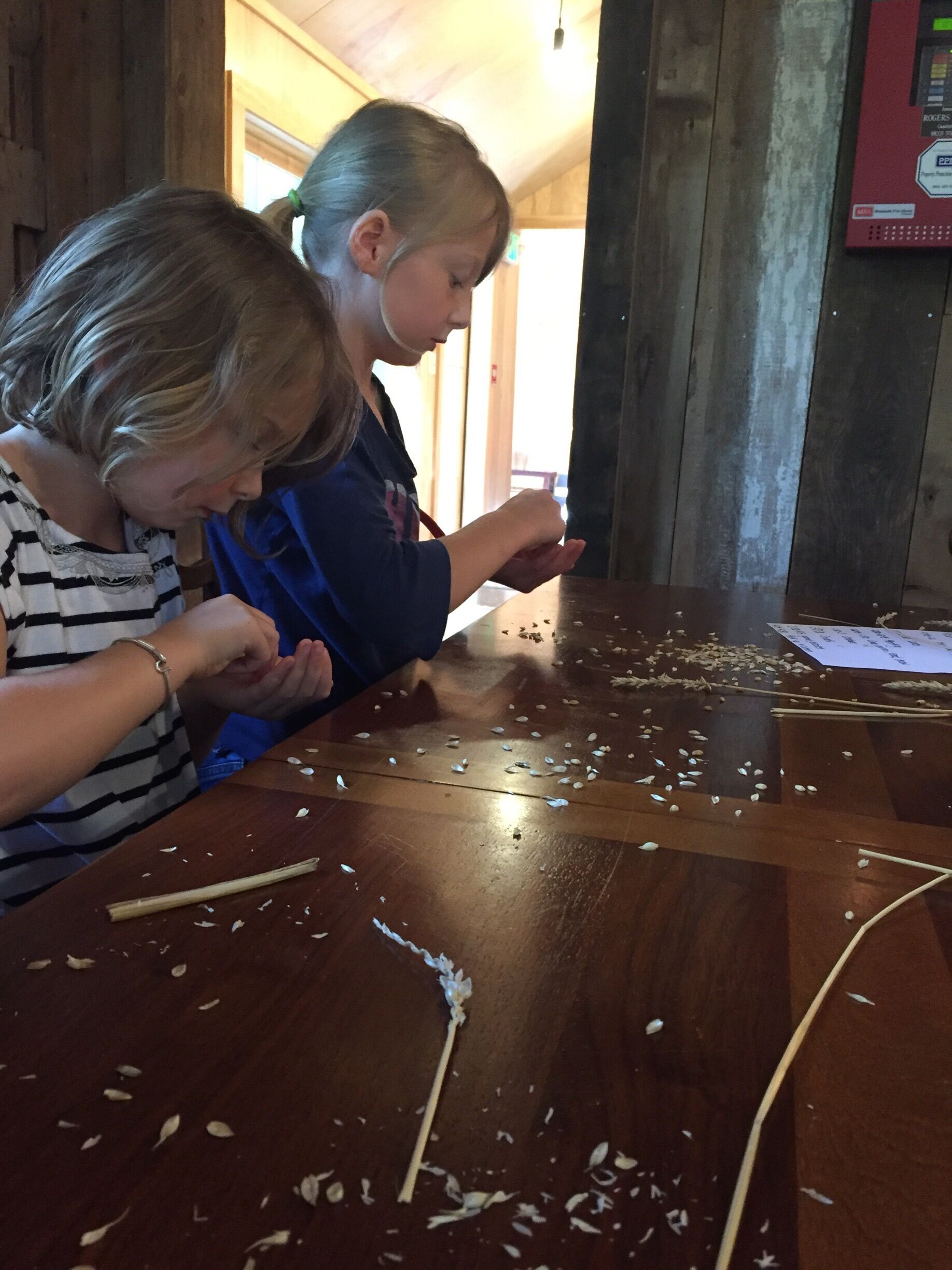 The Barn School