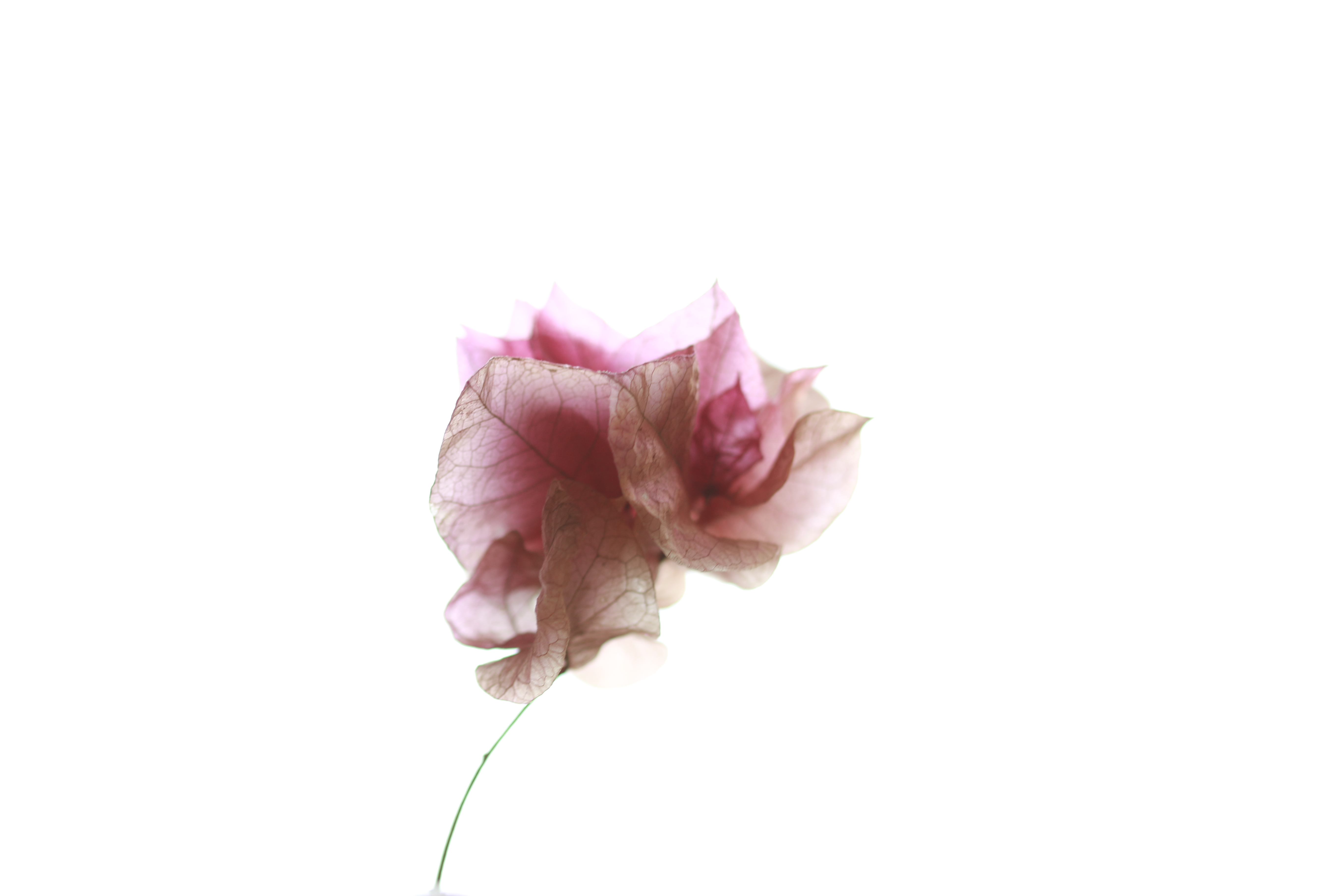Untitled - Tejinder Singh