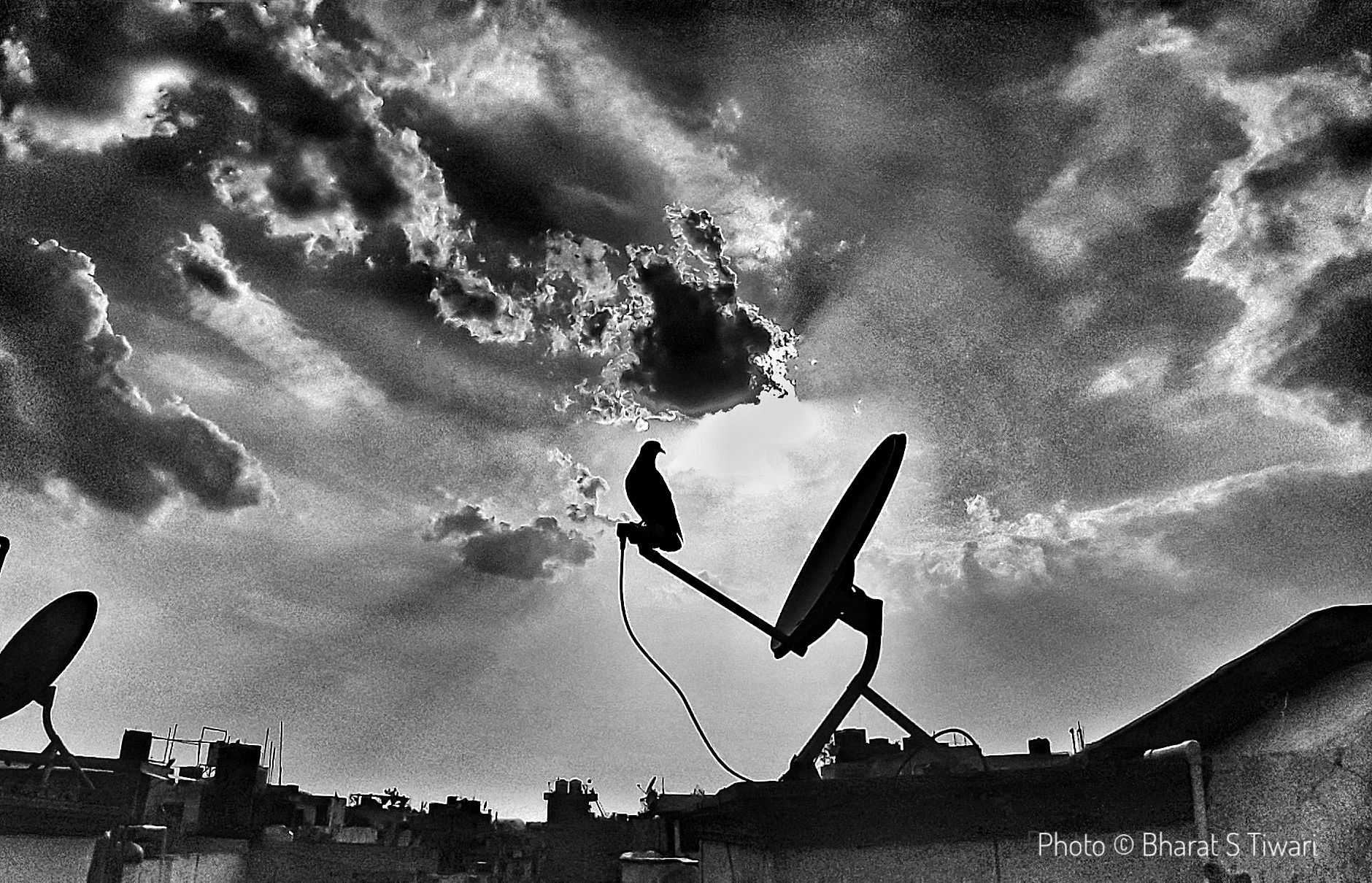 Untitled - Bharat S Tiwari