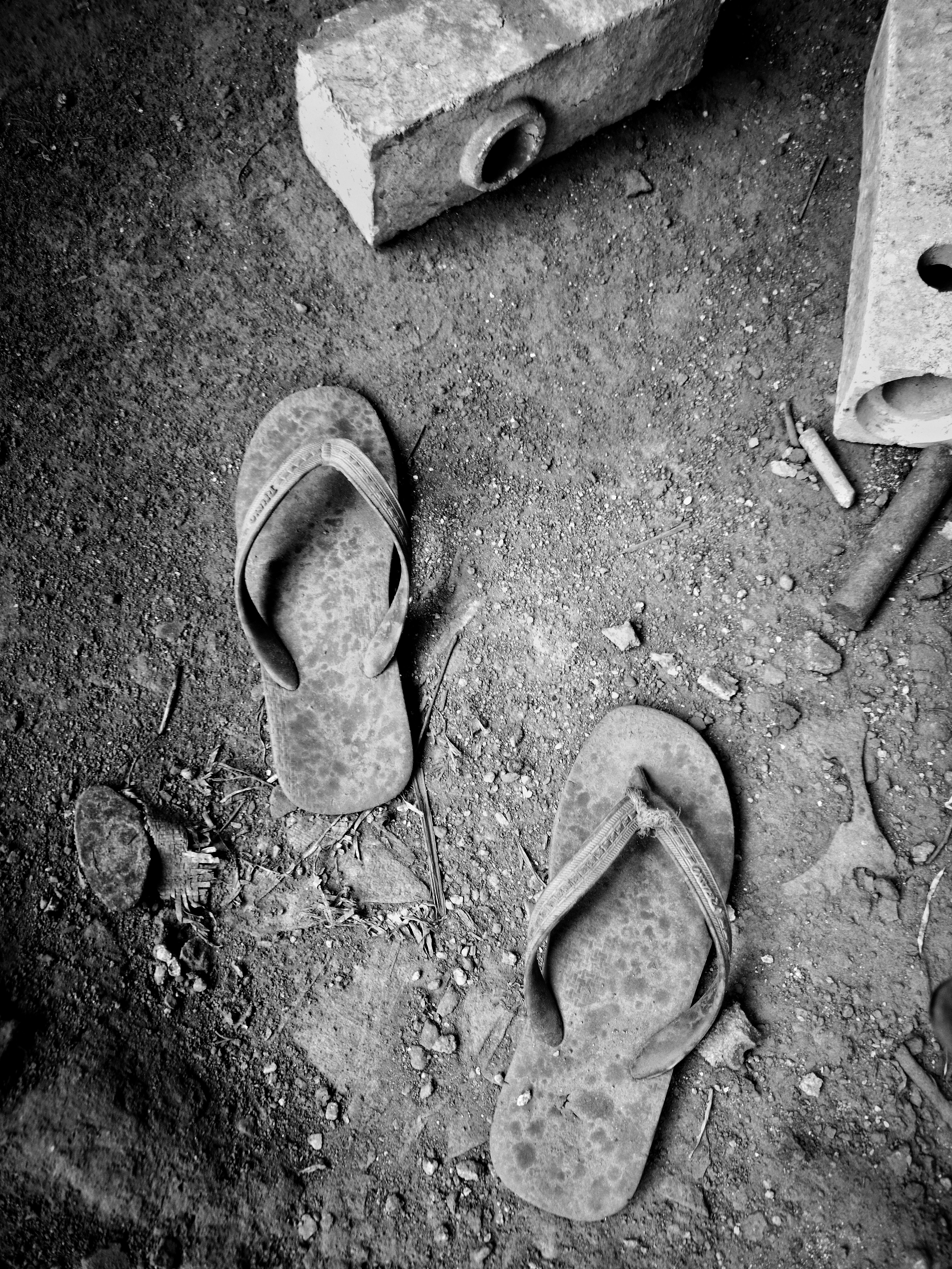 Posterity - Sanchi Aggarwal