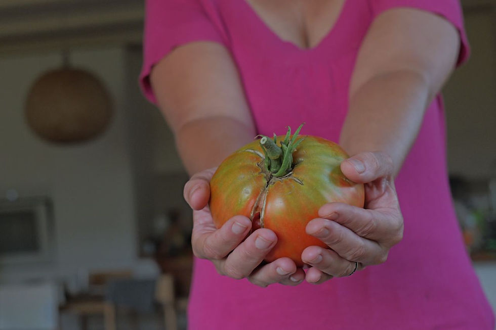 big tomatoes