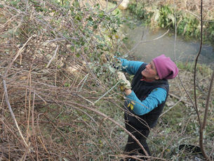 Taking matters into your own hands