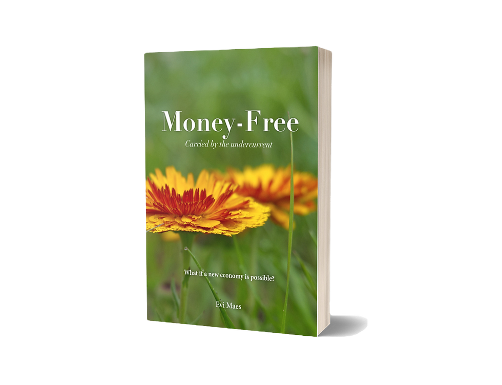 Money-Free book.png
