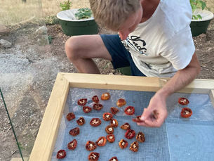 A food dryer that works with the sun