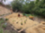 IMG_5065.jpeg