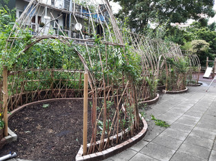 Rainproof & Draught Proof School Gardens