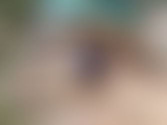 A new fence and two gates