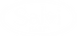 salvi