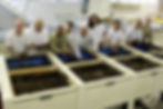 Prisoners happily tending a large worm farm