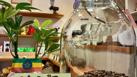 エチオピア　イルガチェフェ‼︎