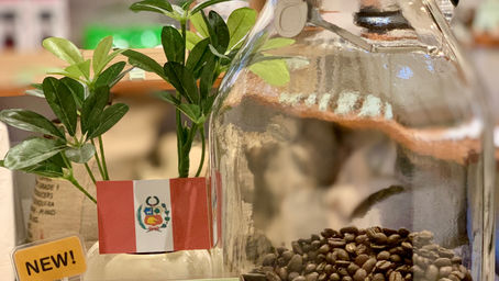 ペルー　イナンバリ　”トゥンキ”‼︎