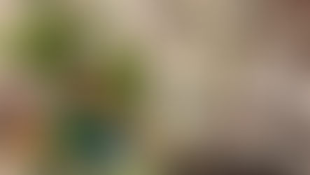 タンザニア　カラツAB‼︎