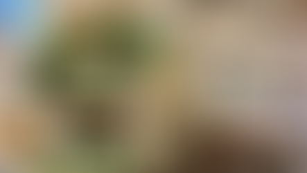 ケニア　エンブ　カンビウAB