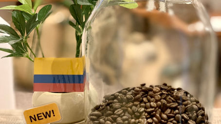 コロンビア　サントゥアリオ農園！！