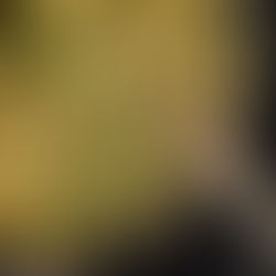 Mixed Veggie Tofu Scramble