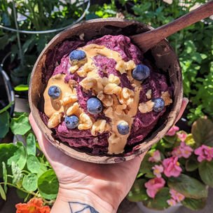 Blueberry, Banana, and Peanut Butter Frozen Treat