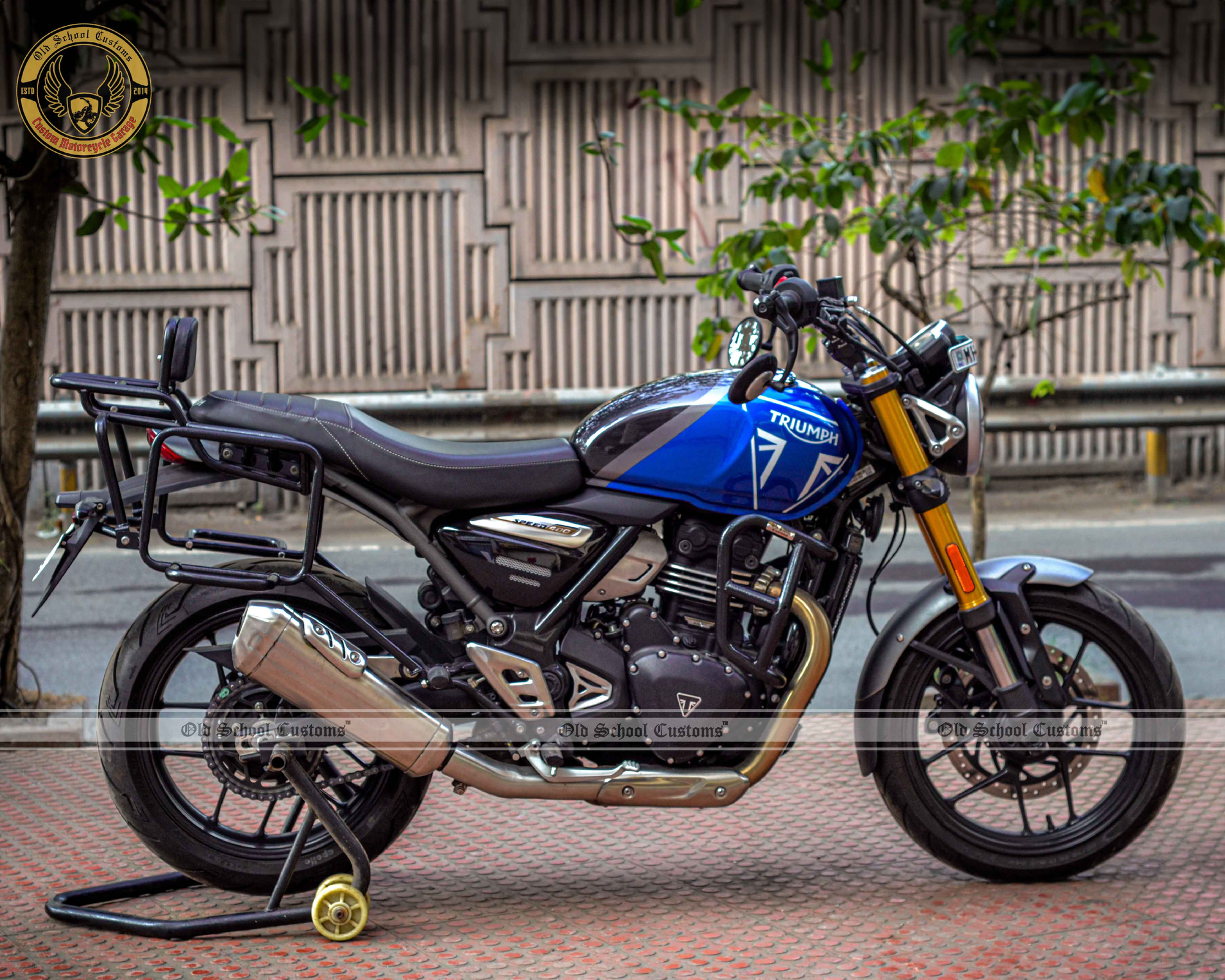 Saddle Stay & Top Rack with Backrest for Triumph Speed 400