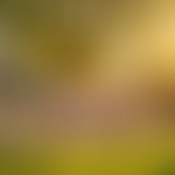 10 Tips for Planning a Stress-Free Family Reunion