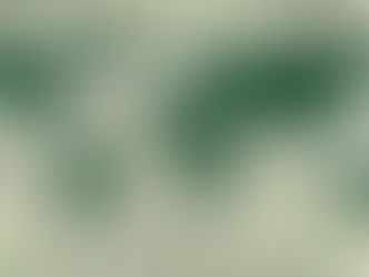 Les origines des crises de 1929 et 2008.